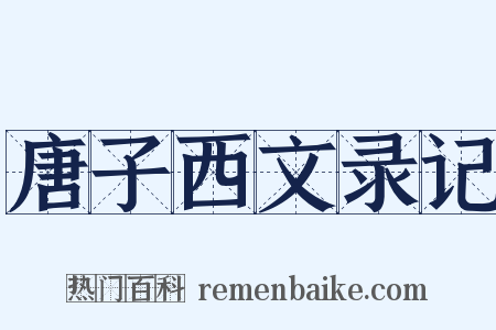 唐子西文录记是什么意思的图片